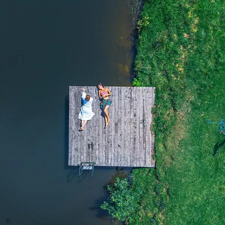 Beech Hollow By Birch Broughton (North Yorkshire)
